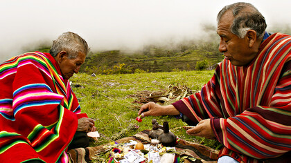 Andean Traditional medicine still plays a prominent role in the health care of indigenous people
