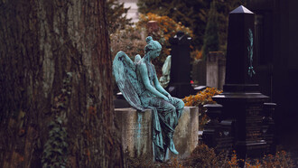 I libri di Domenico Dara sono carezze necessarie