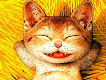 Gatto Gigione si diverte