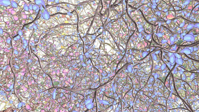 Jennifer Steinkamp. Courtesy of The Portland Art Museum