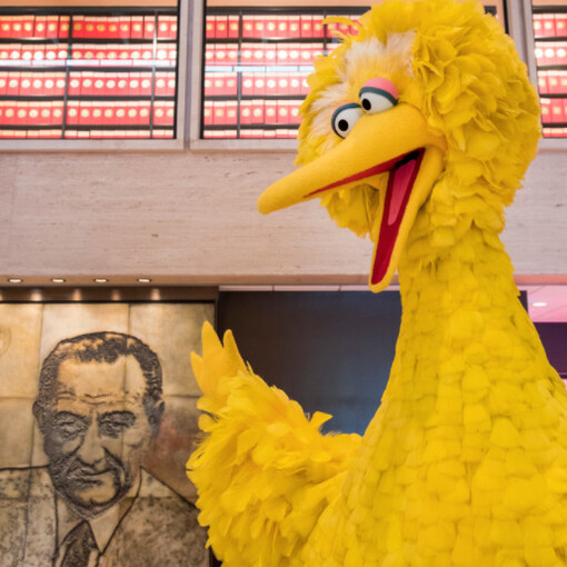 Library photo by Jay Godwin] © 2017 Sesame Workshop