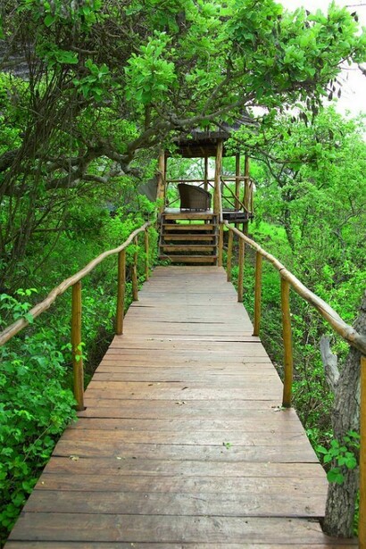 Bridge in Campi Ya Kanzi