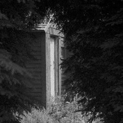 Steven Gilbert. Courtesy of Soho Photo Gallery