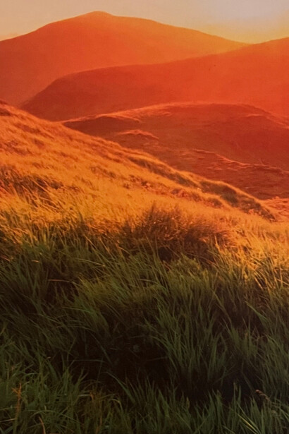Paisaje del Medio Oriente
