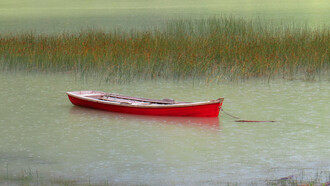 Llegando a Tortel. Y en esa llegada, tan demorada, tan improbable, se empieza a comprender