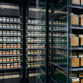 Restoring Family Links. Courtesy of Musée international de la Croix-Rouge et du Croissant-Rouge