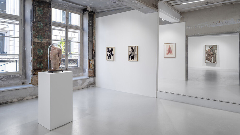 Berlinde De Bruyckere, Need, exhibition view. Courtesy of Galleria Continua