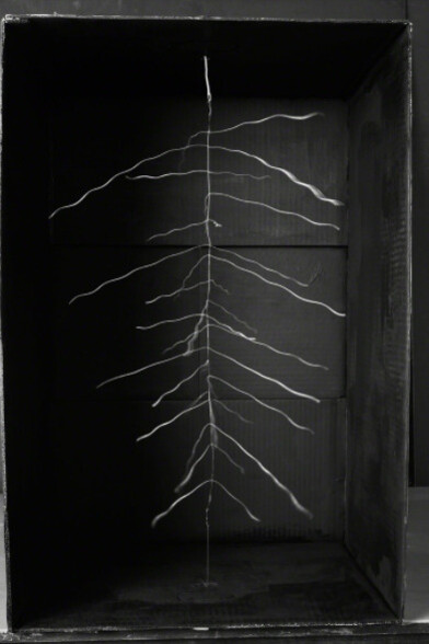 Electricities by David Goldes. Courtesy of Damiani