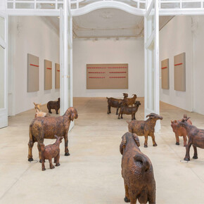 Anthony Olubunmi Akinbola, Western beef, exhibition view. Courtesy of Galerie Krinzinger