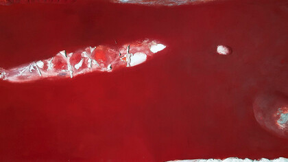 Franco Guerzoni, Pompei Bombay, 2005 