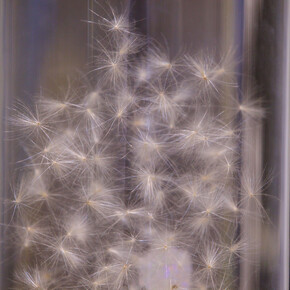 All images: Installation view of Rupert Ackroyd, 'Cathedral Blocks and Thistle Seeds' at Marsden Woo Gallery (2015), image © Philip Sayer, Courtesy of Marsden Woo Gallery