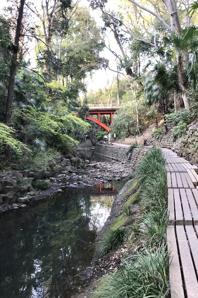 Yazawa River © Alma Reyes