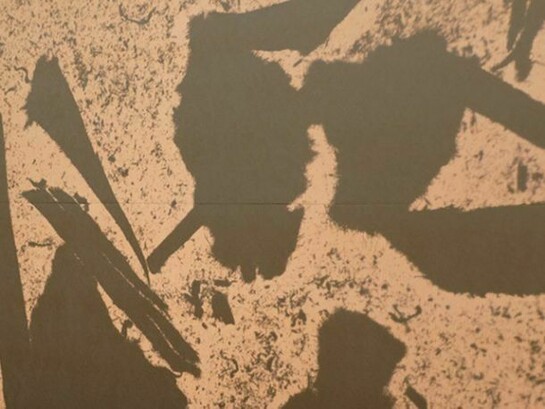 Daniel Lefcourt, Passive Surplus, 2011, Detail, Courtesy of Campoli Presti, London / Paris