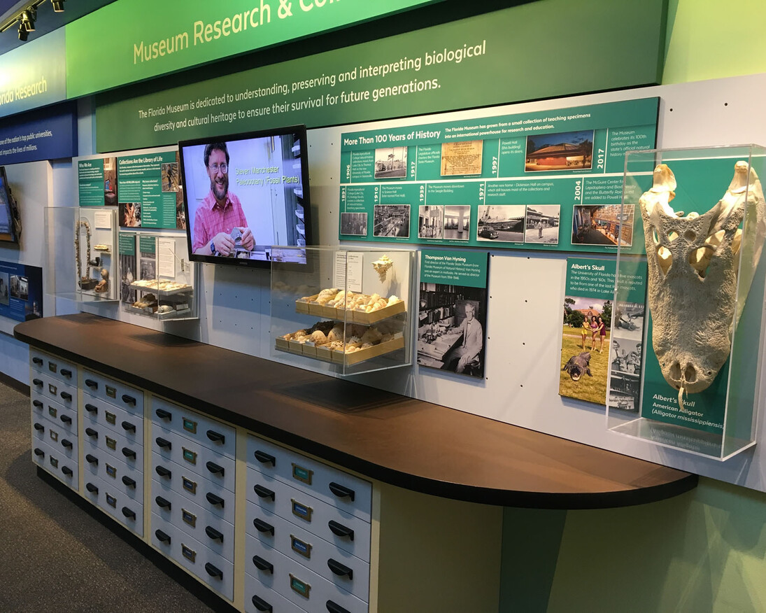 Exploring Our World. Courtesy of Florida Museum of Natural History