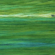 Carrying Horse, 2012 ©Yoshino Masui