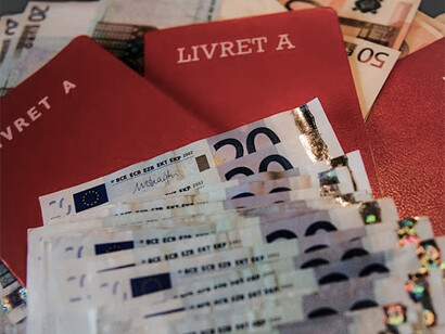 Épargne sur Livret A. En matière de feed-back informationnel, le relevé de compte d’un livret ne tient qu’en une seule ligne