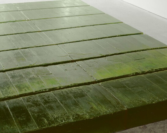 Rachel Whiteread. Courtesy of Belvedere Museum