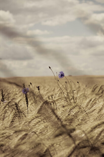 Escribir se convierte en un refugio donde las emociones pueden habitar sin ser juzgadas