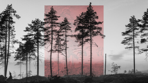 Visions of Nature. Courtesy of Kunst Haus Wien
