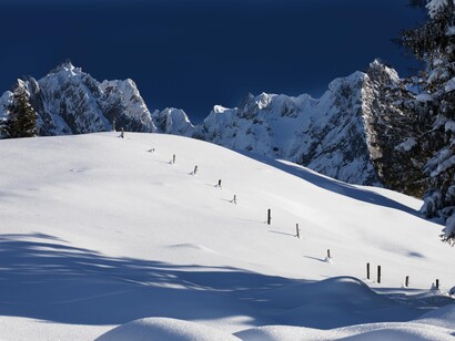 Winterlight, ph. by M. Stillwater