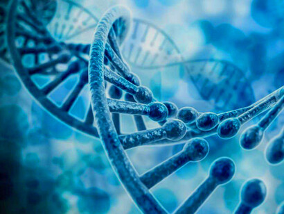 Representación de una secuencia de ADN