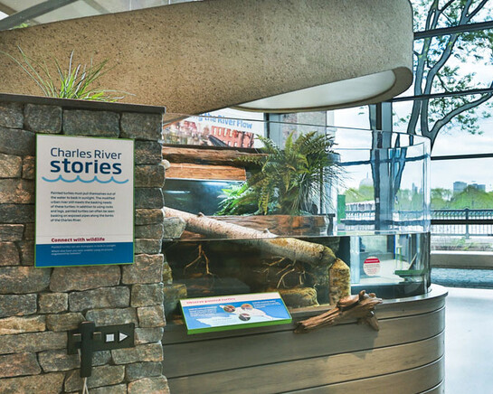 Yawkey Gallery on the Charles River. Courtesy of Museum of Science