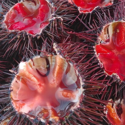 Può essere utilizzato anche per preparare crostini, tartare di pesce o raffinati antipasti di mare, dove il suo gusto diventa il protagonista