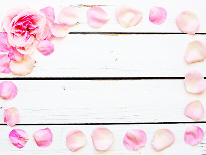 Pétalos de amor
