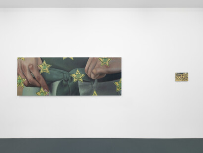 Issy Wood, Wet reckless, exhibition view. Courtesy of Michael Werner Gallery