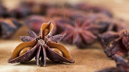 Anethole, an organic compound found in the essential oils of plants like anise, fennel, and star anise, could be used to enhance the effectiveness of cancer treatment.