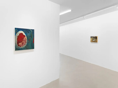 Anna Livia Taborda Monahan, Membrana, exhibition view. Courtesy of Mendes Wood DM