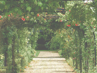 If you could integrate all your prior and future walks, you would see a beautiful garden in different stages of growth and realization