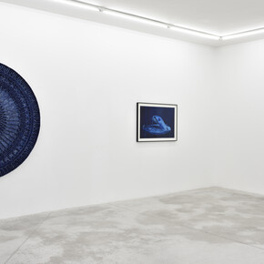 credit photo: Rebecca Fanuele
courtesy: Levi Van Veluw & Praz-Delavallade Paris, Los Angeles