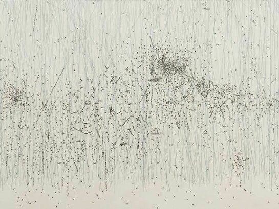 Lu Chao, Cloud Mountain