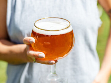 Lúpulo de cor amarela em cerveja artesanal