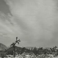 Brett Weston. Courtesy of Cleveland Museum of Art