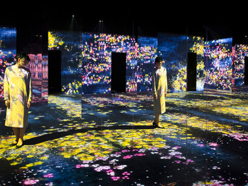 Living Digital Forest and Future Park. Courtesy of Pace Beijing