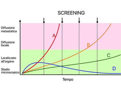 L’evoluzione di uno stesso tipo di malattia può essere diversa: molto veloce (A), progressiva (B),  lenta, (C) guarigione spontanea (D)