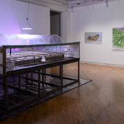 Soft Turns, Cold data, exhibition view. Courtesy of Gallery 44