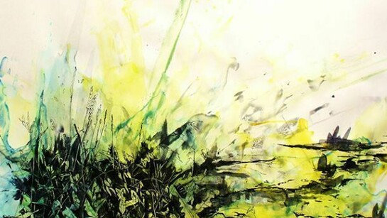 Joana Bruessow, untitled, 2012, ink on paper, 26,5 x 38,5 inches