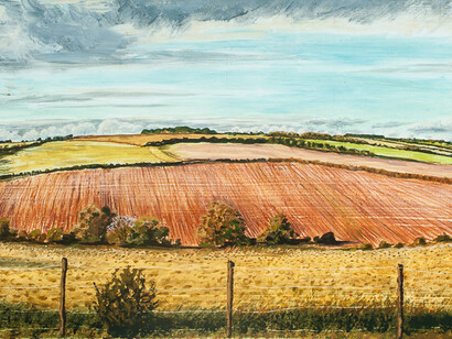 Alex Uxbridge, Wild Wiltshire landscape