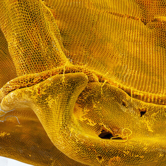 Waiting Room. Courtesy of  KOENIG2 by_robbygreif