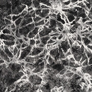 Galleria Riccardo Crespi