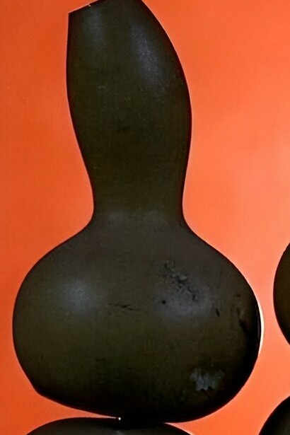 Jícaros del árbol "crescentia cujete", Joaquín Orellana