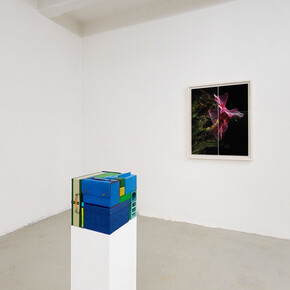 Michael Johansson, Crossfade - Blue/Green 2020  Ordinary items, 25x25x25 cm | 9¾x9¾x9¾ inches     
Stefano Caimi, Phytosynthesis - Nerium oleander Jannoch, 2019 Custom software, inkjet fine art print on cotton paper, bleached Toulipier wooden frame, museum glass (zeroglass),  110x89,5x5,5 cm | 43¼ x35¼x21¼ inches 

