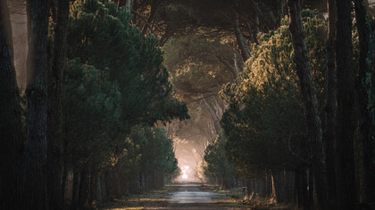 Il nostro futuro come collettività umana