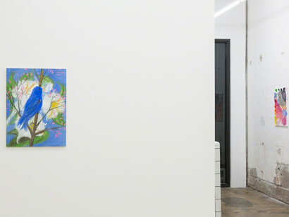 Snowbirds. Courtesy of Nina Johnson