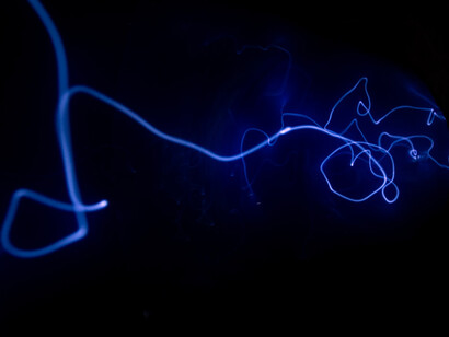 Few people considered the environmental consequences of electricity 