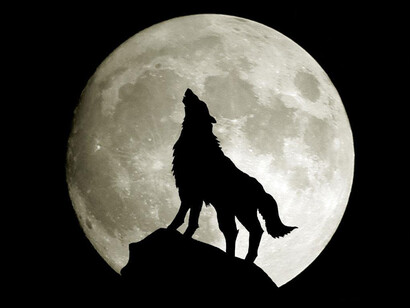 Chiedi la luna