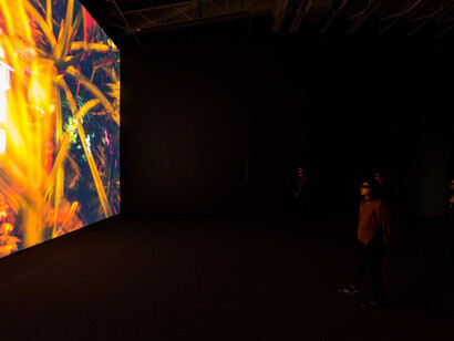 Cyprien Gaillard. Courtesy of Gladstone Gallery